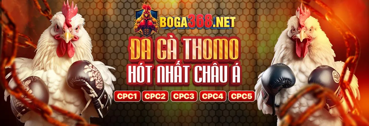 Các bước đăng nhập N188